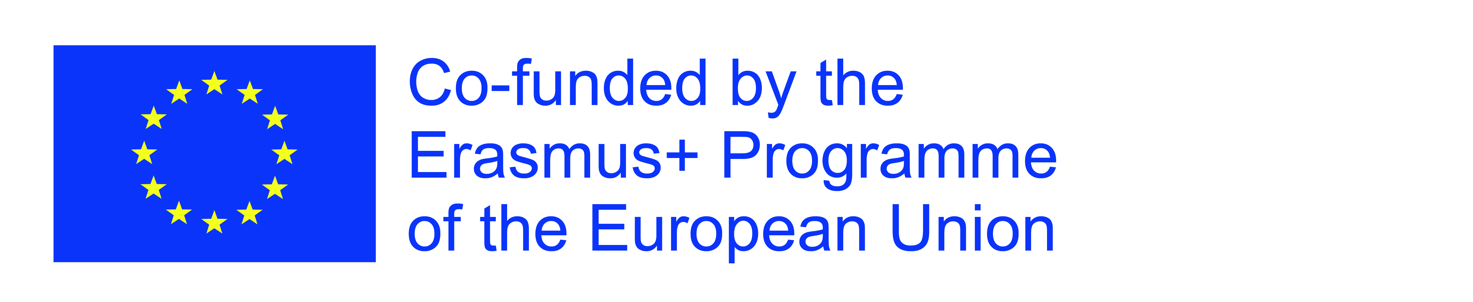 EU Logo